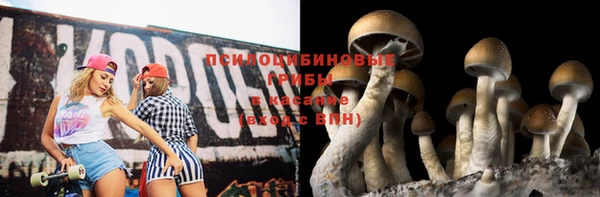 СК Ельня