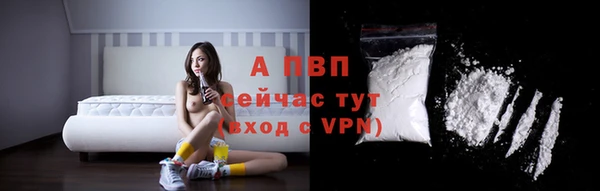 СК Ельня