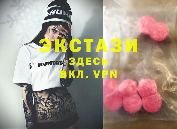 СК Ельня