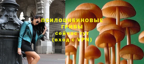 СК Ельня