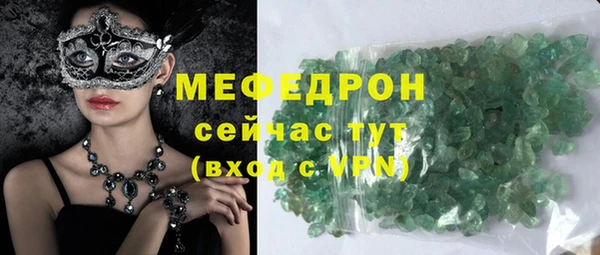 СК Ельня
