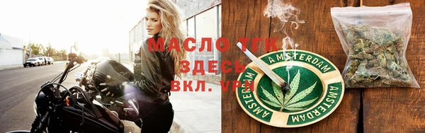 СК Ельня