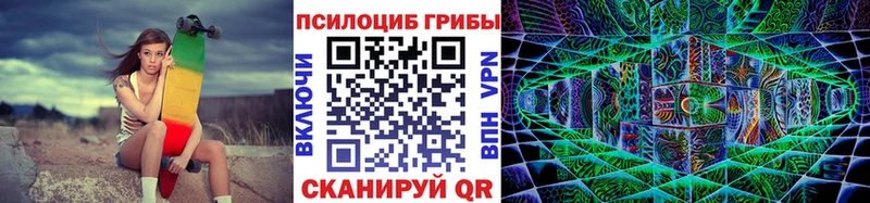 mega онион  Кизляр  Псилоцибиновые грибы Psilocybine cubensis 